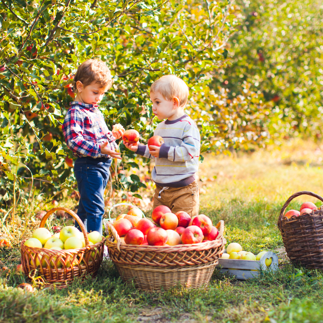 Read more about the article How to Juggle the Busyness of Fall as a Parent
