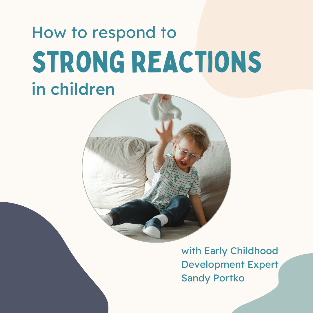 Read more about the article How to Respond to Strong Reactions in Children